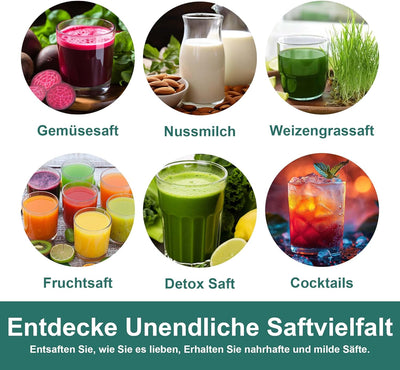 Fretta Slow Juicer Entsafter Gemüse und Obst Juicer Machine, 200W Obstpresse Elektrisch Saftpresse J