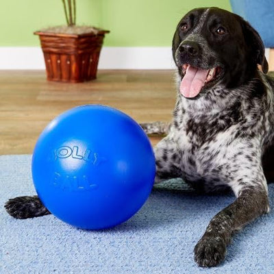 Jolly Pets Hundespielzeug Push-n-Play, 25 cm, Blau blau 25,4 cm, blau 25,4 cm