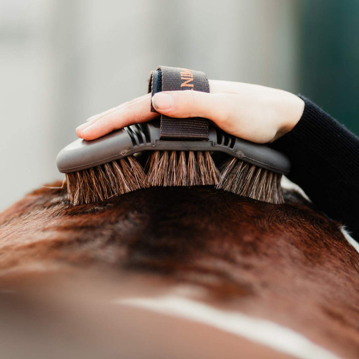 Animalon CareFlex Rosshaar-Kardätsche | Flexible & Ergonomische Pferde-Bürste mit Klettverschluss fü