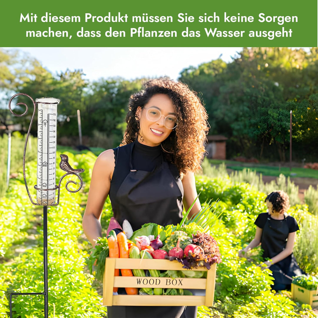 DAAS24 Regenmesser - Regenmesser für Garten – Frostsicheres Glas - Niederschlagsmesser- Flexibel pla