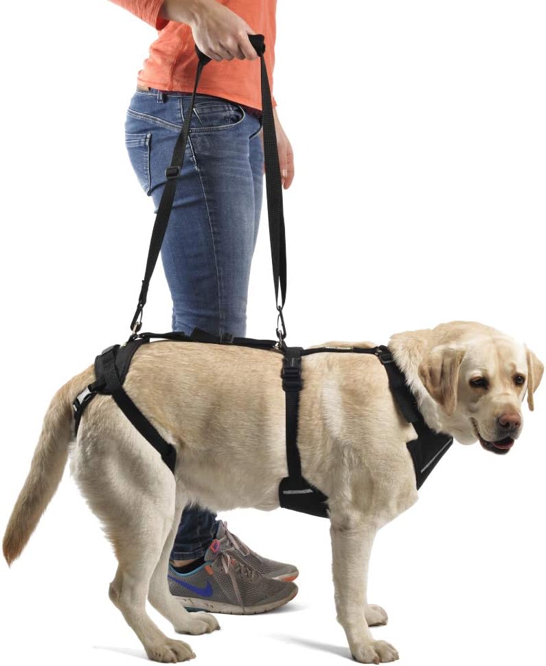 Ortocanis - Ganzkörper-Hundegeschirr zur Unterstützung von Vorder- und Hinterbeine, Grösse S Grösse