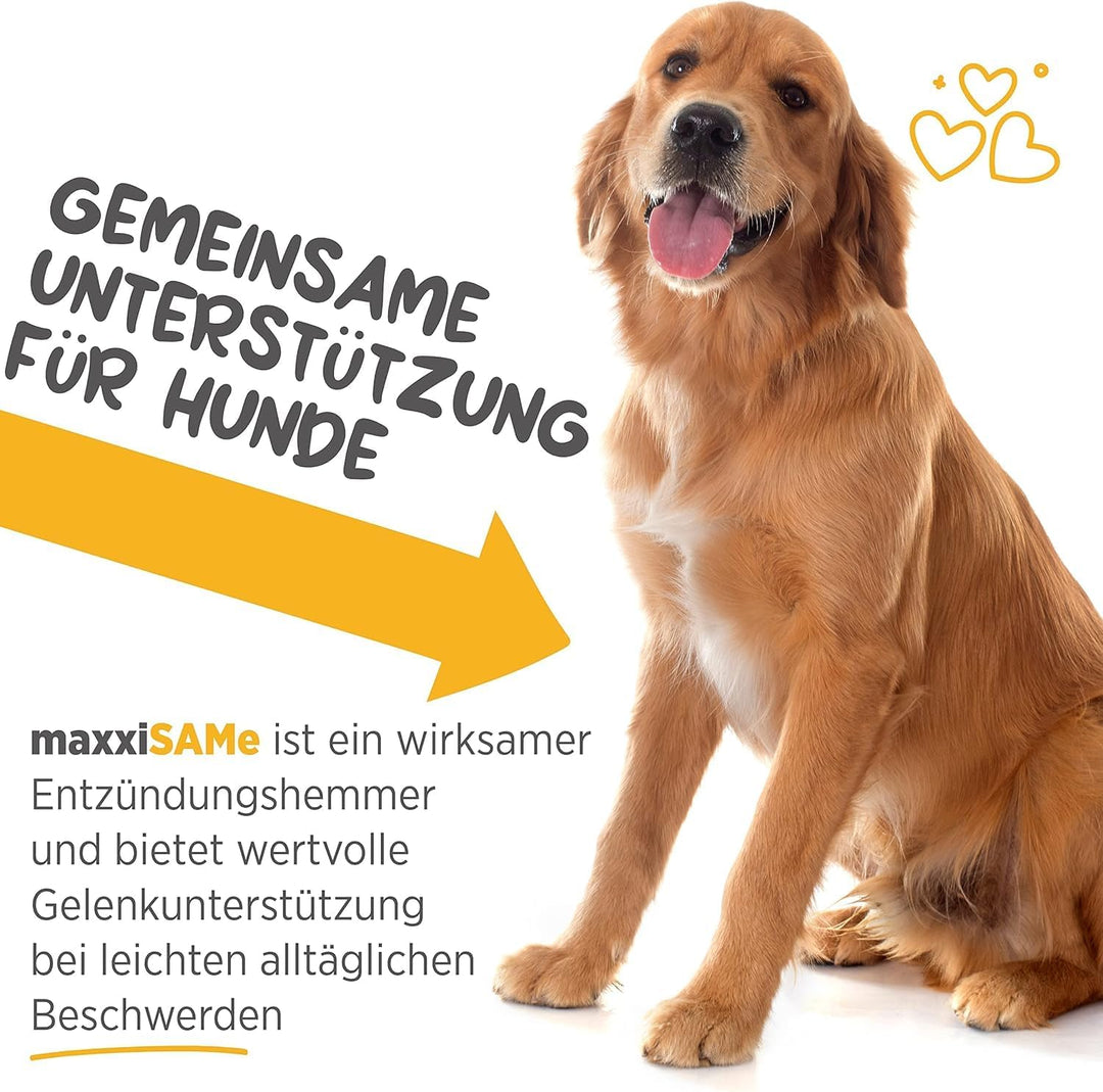 maxxipaws - maxxiSAMe SAM-e Ergänzungsfutter für Hunde -Unterstützung der Leberfunktion & Kognitiver