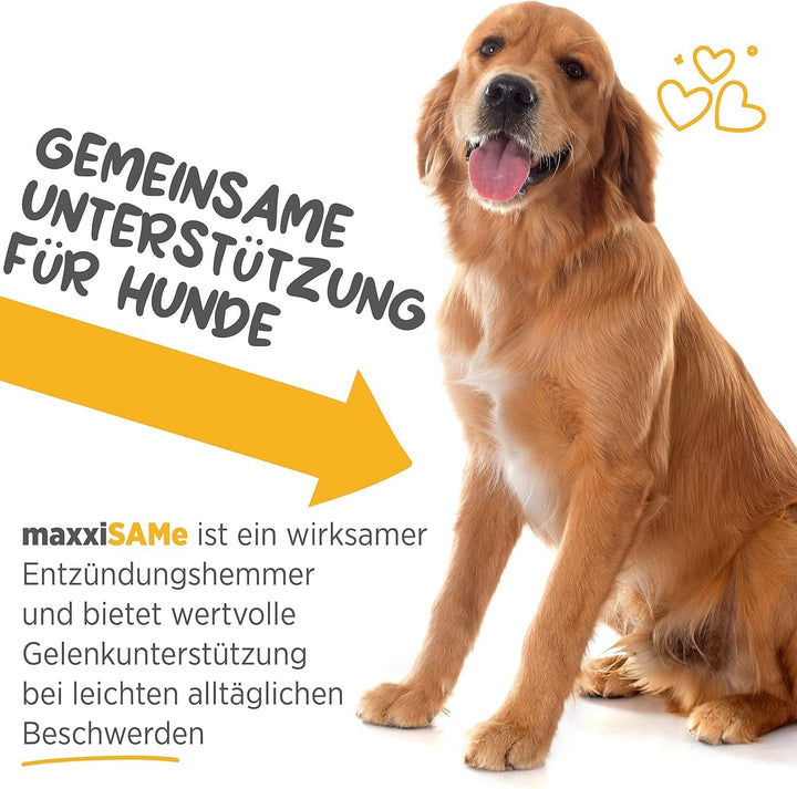 maxxipaws - maxxiSAMe SAM-e Ergänzungsfutter für Hunde -Unterstützung der Leberfunktion & Kognitiver