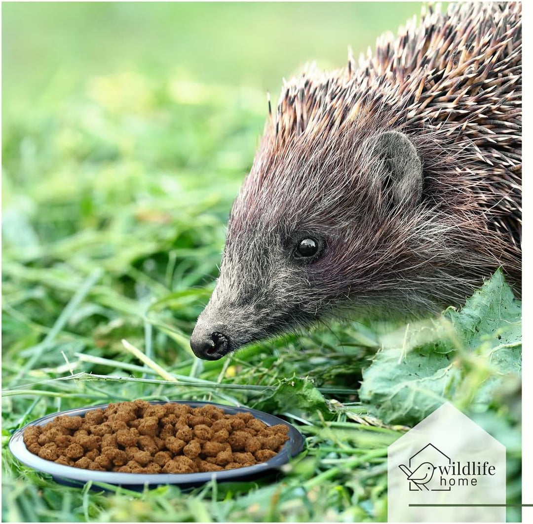 WILDLIFE HOME Igelfutter VON IGELHILFEN EMPFOHLEN Getreidefrei 1kg - Artgerechtes Spezialfutter für