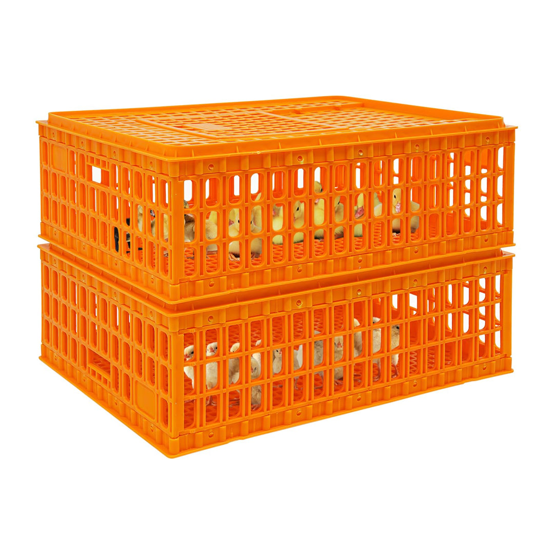 2 Stück Geflügel Tragetasche, Huhn-Transportkäfig mit Schiebetür und Transportgriffen, Korb Box für