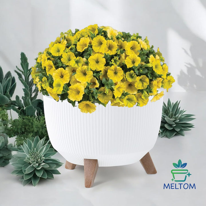 MELTOM Blumentopf Schale mit Füssen Einsatz Kräutertopf Übertopf Pflanzschale Eco Recycled (Weiss, M