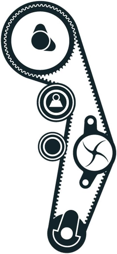 SKF VKMA 01142 Zahnriemensatz