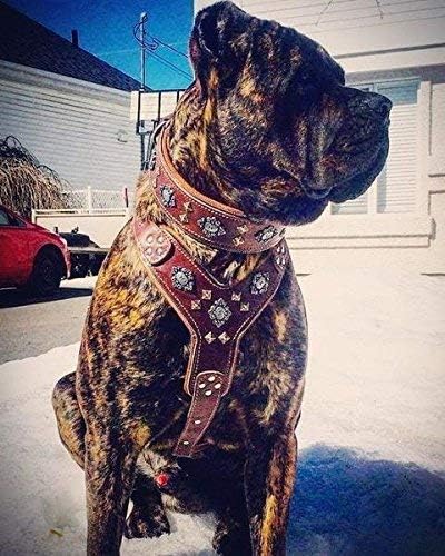 Bestia |Aztec| Leder Brustgeschirr für grosse Hunde. Bis 145 cm Brustumfang. 100% Leder. Handgeferti