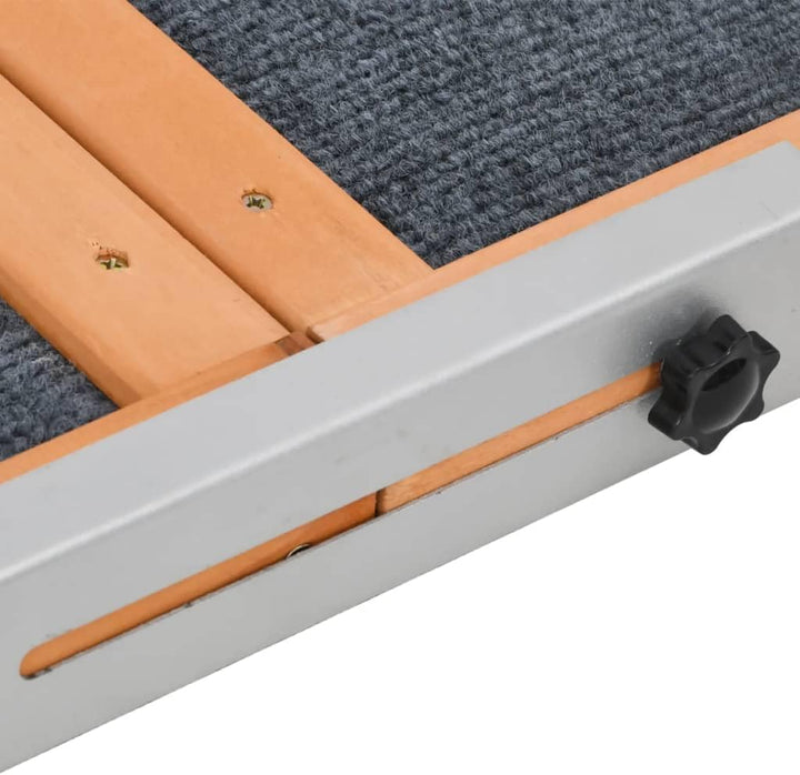 vidaXL Hunderampe Grün 120x30 cm Massivholz Tanne Grün 120 x 30 cm, Grün 120 x 30 cm