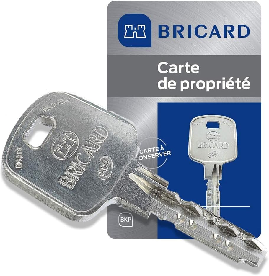 BRICARD Serial XP 10 + 30 Halbzylinderschloss vernickelt 18006 mit Knopf 40 = 10+30 Acier Nickelé, m