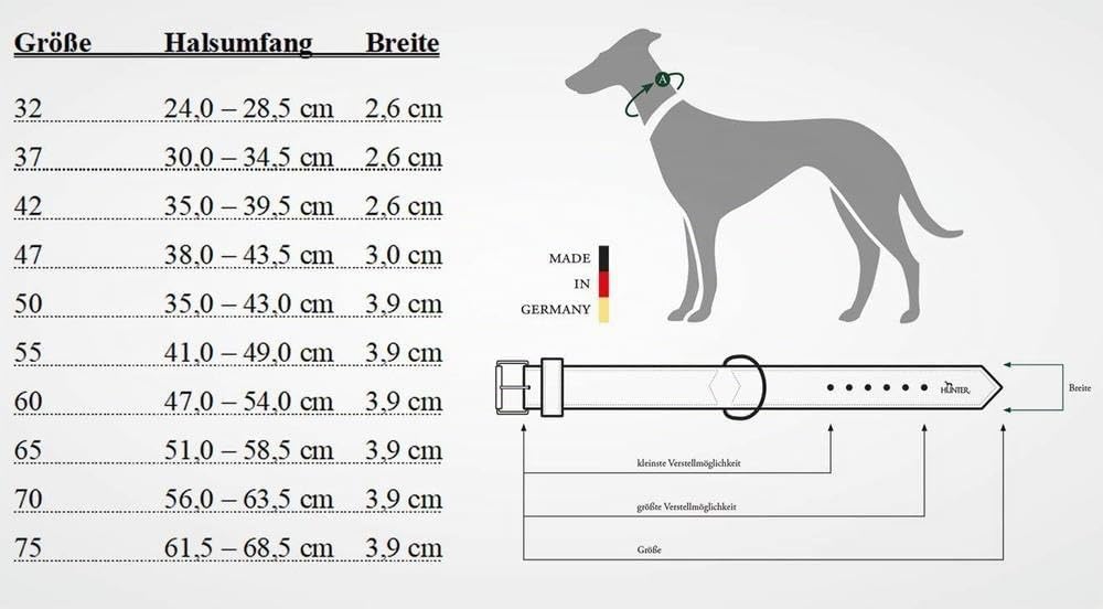 HUNTER SWISS Hundehalsband, Leder, hochwertig, schweizer Kreuz, 47 (S-M), schwarz schwarz 47 (S-M) C
