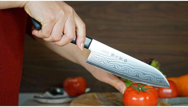TOJIRO DP Damaskus japanisches Messer Santoku ECOWOOD