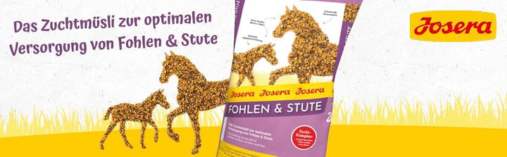 JOSERA Fohlen &amp; Stute (1 x 20 kg) | Premium Pferdefutter | Zuchtmüsli | gehaltvolle Stutenmilch | op
