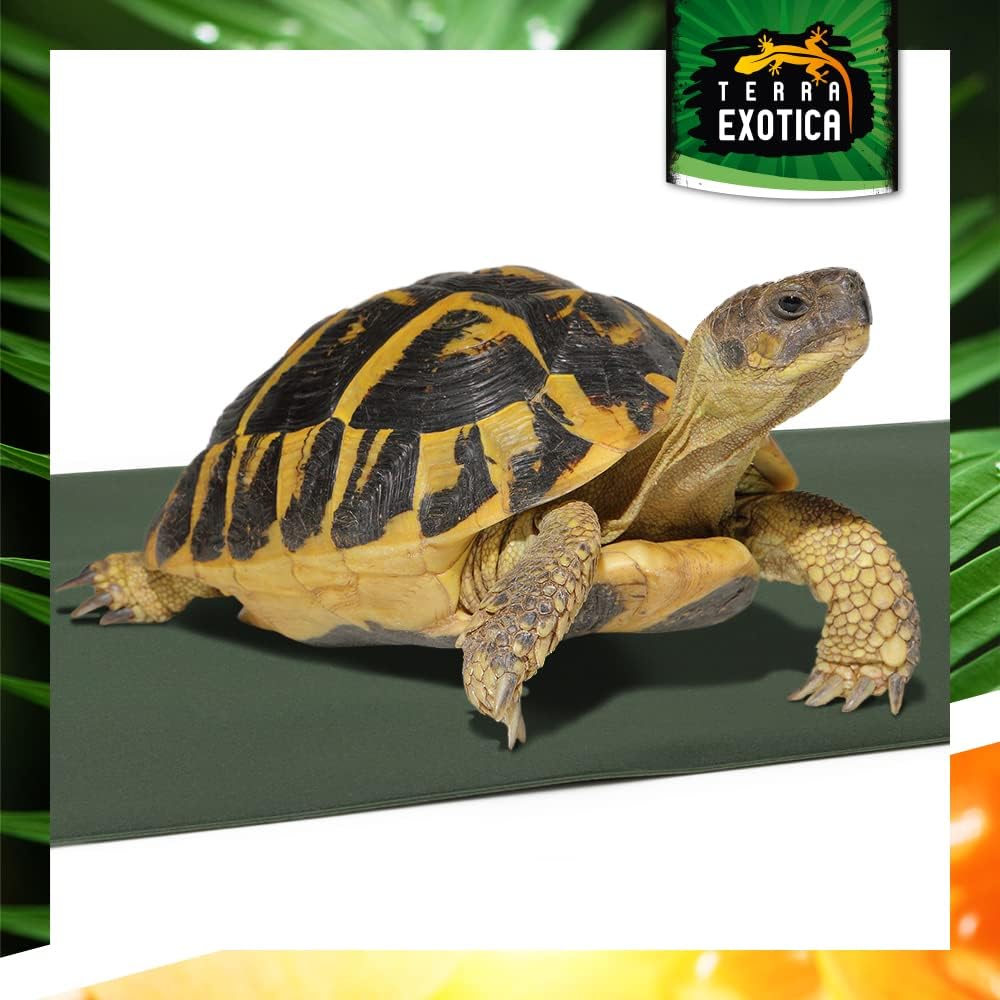 Terrarium Heizmatte Comfort 20 Watt, 20x35 cm - in 10W, 20W, 30W & 40W erhältlich - Wärmematte für R