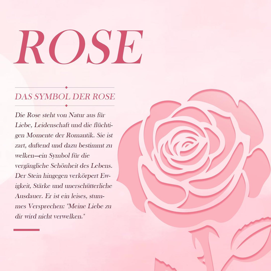 mookaitedecor Satz von 4 schwarze Muschel Rose Blume Schrankknöpfe mit Schrauben, dekorative florale