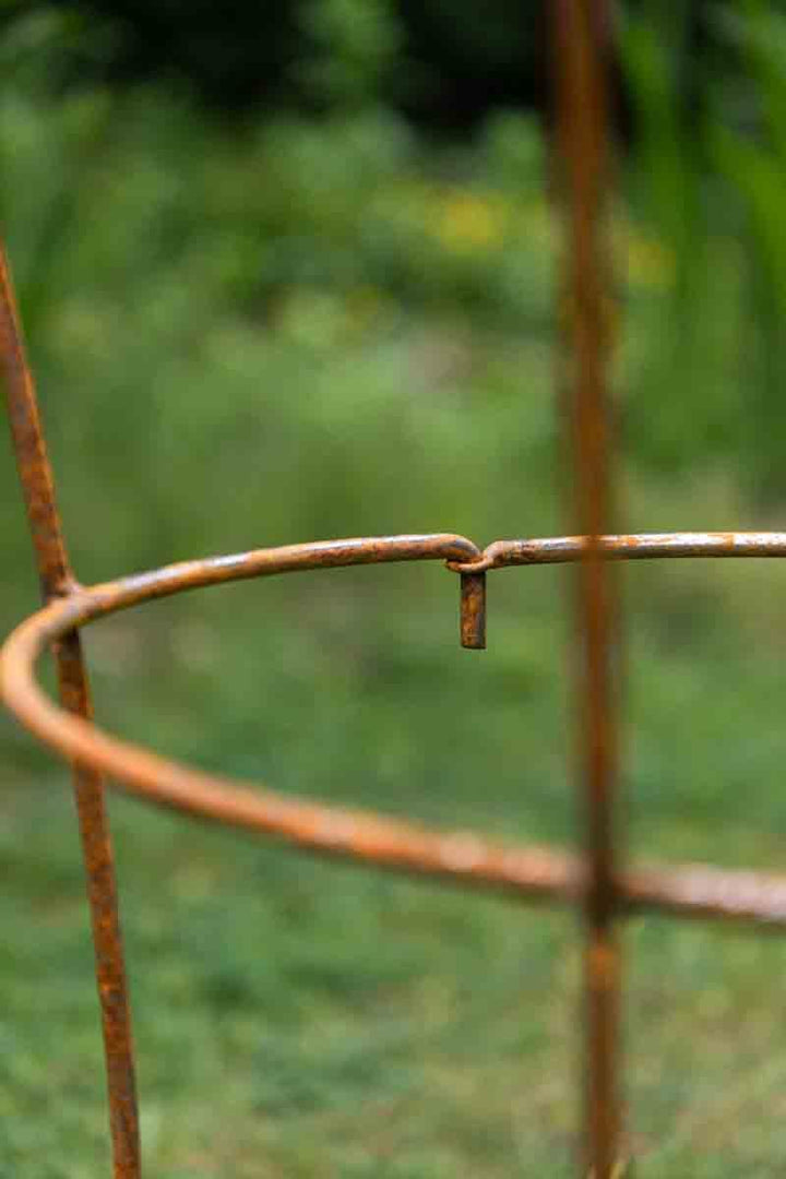 Staudenhalter Rostig Höhe: 60cm - 2 TLG. Strauchhalter Rankgerüst, Rost, H&#xF6;he 60cm