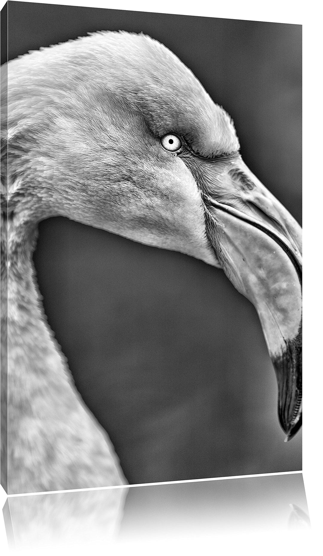 Pixxprint Monocrome, Flamingo im Seitenprofil, Format: 100x70 auf Leinwand, riesige Bilder fertig ge