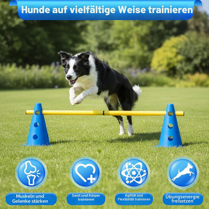 Agility Set Hunde Hürden Steckhürdenset,8 Kegel (24cm)+4 Stangen (81cm) ,Einstellbare Trainingshürde