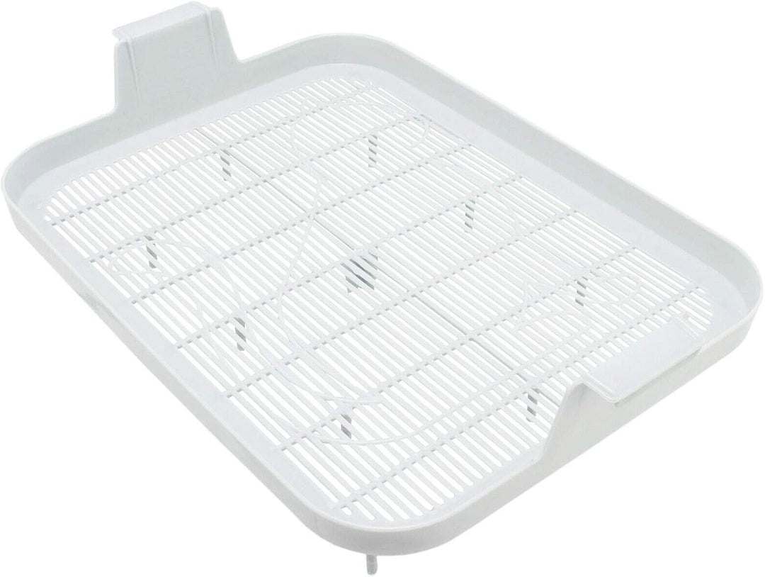 4Big.fun 2X Set Erste Katzentoilette Schalentoilette Katzenklo - perfekt für Kätzchen Katzenbabys Ju