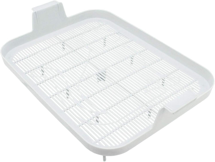 4Big.fun 2X Set Erste Katzentoilette Schalentoilette Katzenklo - perfekt für Kätzchen Katzenbabys Ju