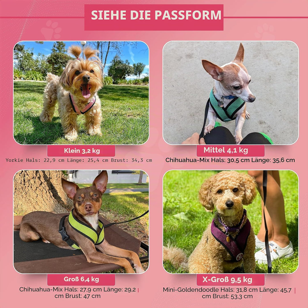Gooby Choke Free Comfort X Hundegeschirr, weich, Grösse S, Schwarz 11.75-15.5" schwarz, 11.75-15.5"