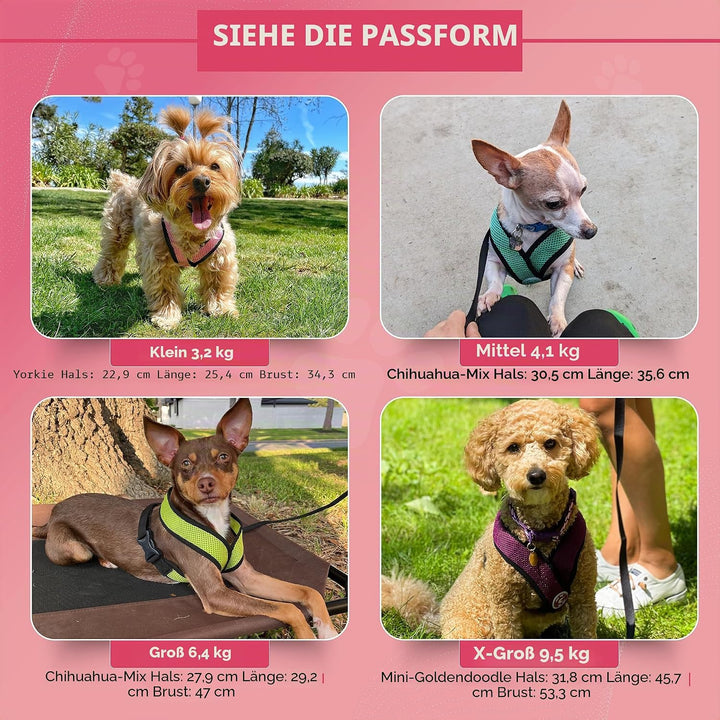 Gooby Choke Free Comfort X Hundegeschirr, weich, Grösse S, Schwarz 11.75-15.5" schwarz, 11.75-15.5"