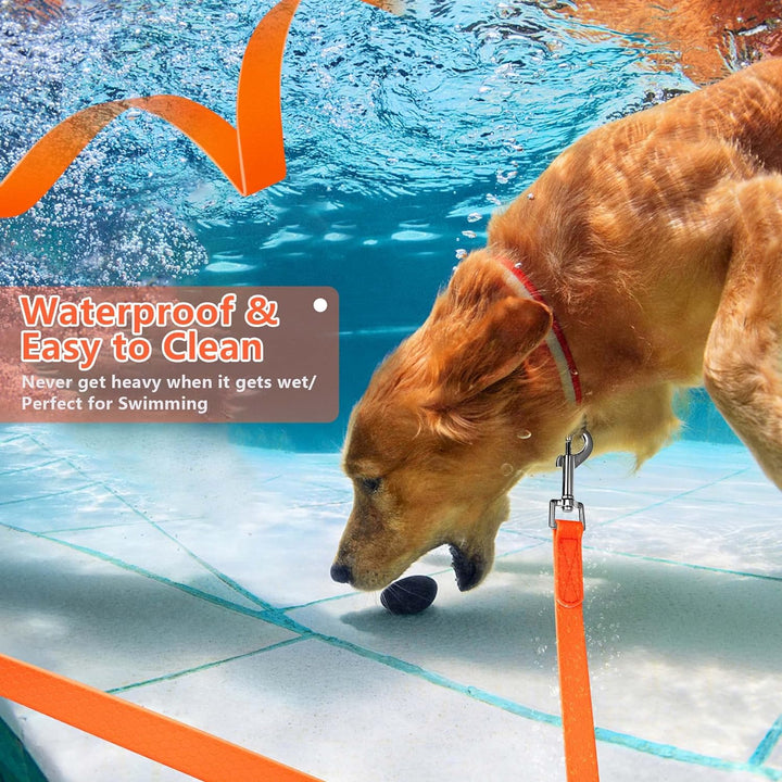 IOKHEIRA Trainingsleine für Hunde, wasserdichte Hundeleine mit Gepolstertem Griff 5m/10m/15m/20m, PV