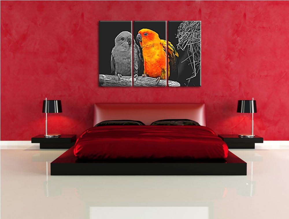 Dark zwei hübsche Sonnensittiche schwarz/weiss Spezial 3-Teiler Leinwandbild 120x80 Bild auf Leinwan
