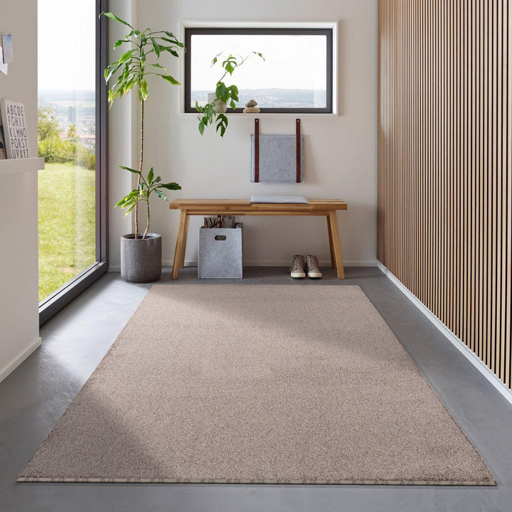 Carpetsale24 Teppich Wohnzimmer Dichter Kurzflor Einfarbig Teppich Modern Robust Rechteckig und Rund