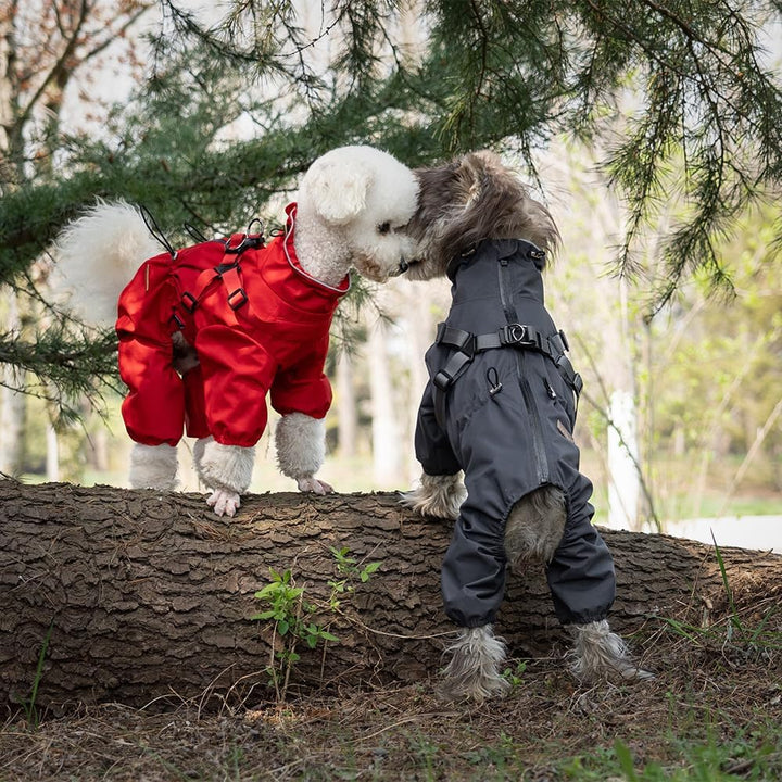 Hundegeschirr Regenmantel, Verstellbare 4-Bein-Hundejacke mit Geschirr Reflektierender Overall Wasse