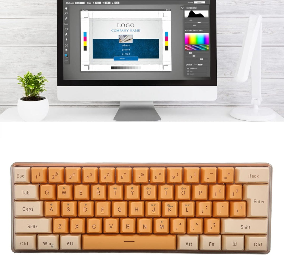 60% Kabelgebundene Gaming-Tastatur, 61 Tasten RGB-Tastatur für PC, Kabelgebundene Kompakte PC-Tastat