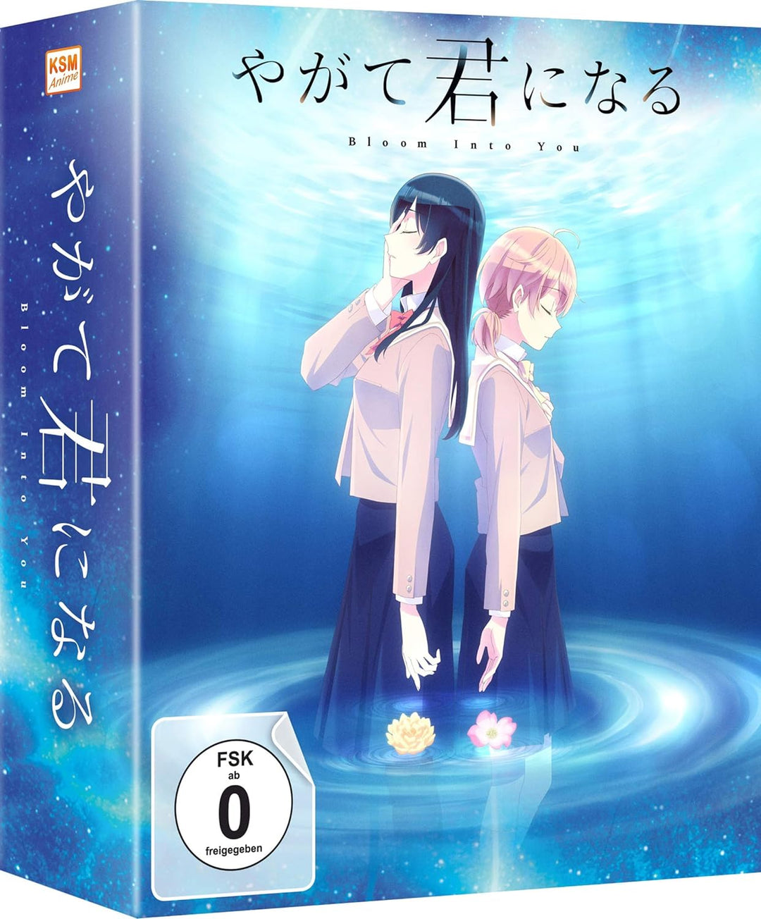 Bloom Into You - Volume 3 (Episode 9-13) im Sammelschuber, DVD
