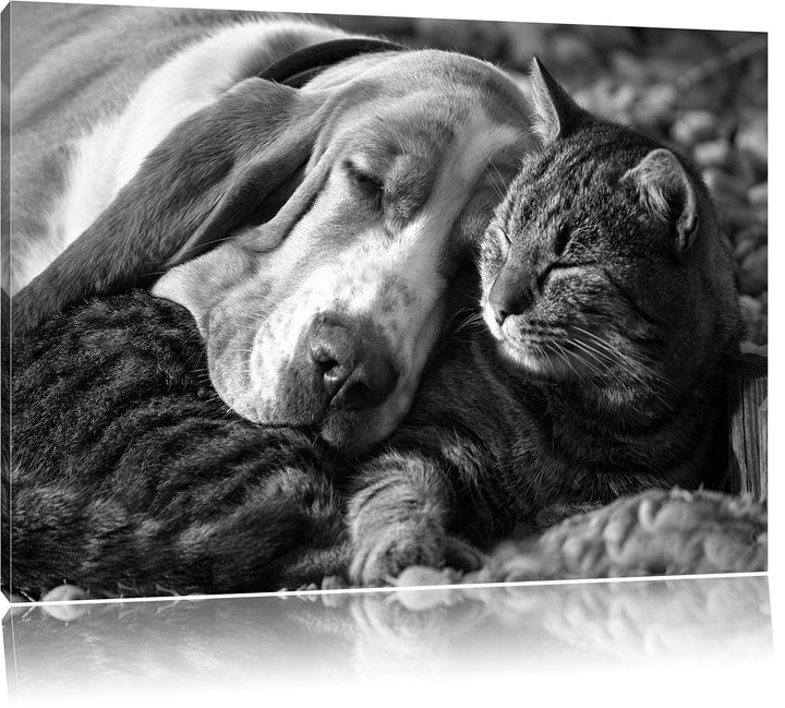 Pixxprint Katze und Hund kuschelnd Kunst B&W als Leinwandbild/Grösse: 100x70 / Wandbild/Kunstdruck/f