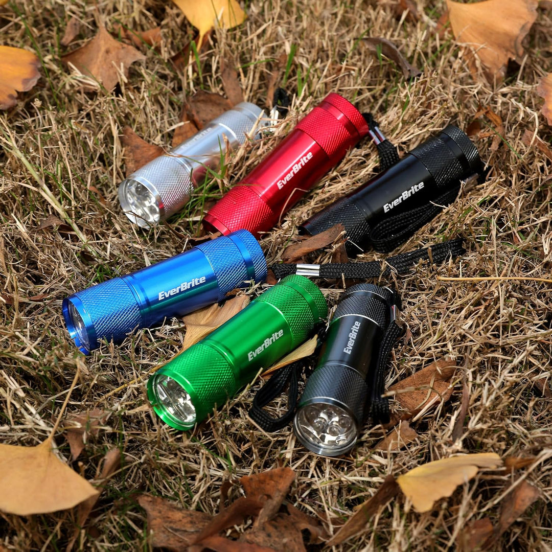 EverBrite 18tlg. LED Taschenlampen Set, mini kleine Kinder Taschenlampe mit Lanyard und 54 AAA Batte
