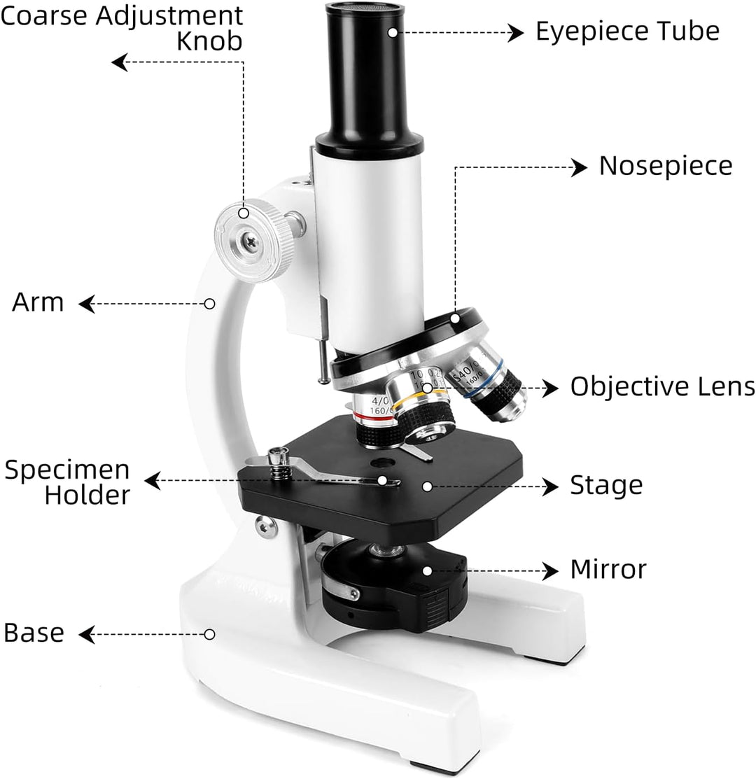 40-2000x Mikroskop, Professionelles Metall-Mikroskop für Erwachsene & Kinder, mit 10x & 25x Okularen