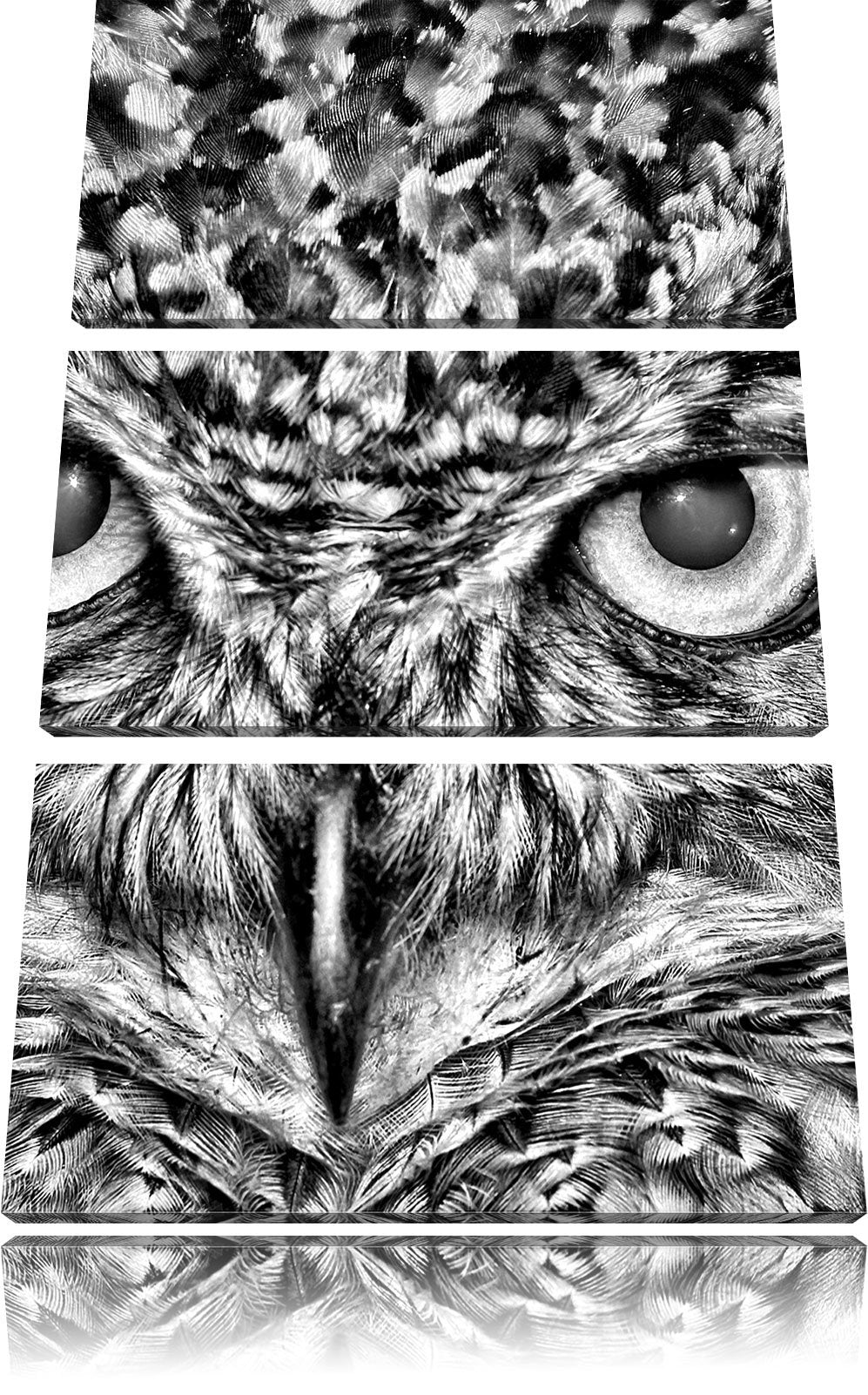 Pixxprint Eule mit gelben Augen als Leinwandbild/Grösse: 3 Teilig (120x80) cm/Wandbild/Kunstdruck/fe