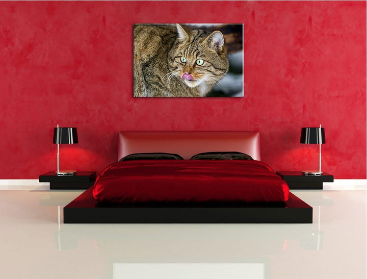 schöne Manul in Schneelandschaft auf Leinwand, XXL riesige Bilder fertig gerahmt mit Keilrahmen, Kun
