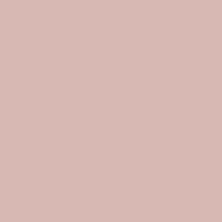Preismaxx Silikonharz Fassadenfarbe, Pupuritrosa Rosa 2,5 Liter, hochwertige, matte, wasserabweisend