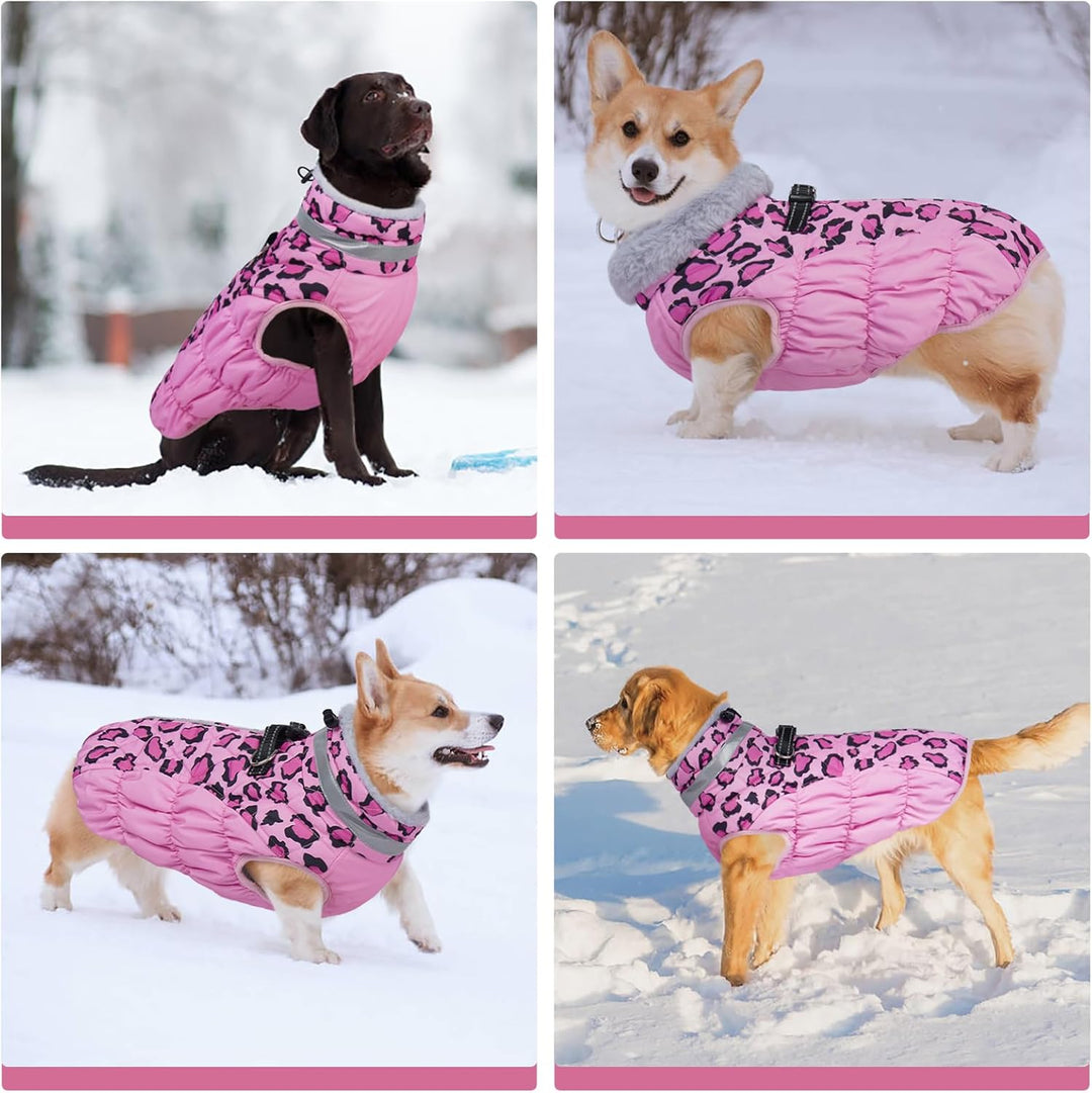Kuoser Warme Hundejacke, Reflektierende Hundemantel, Winddichte Hundemantel für Kleine Hunde,Moden H