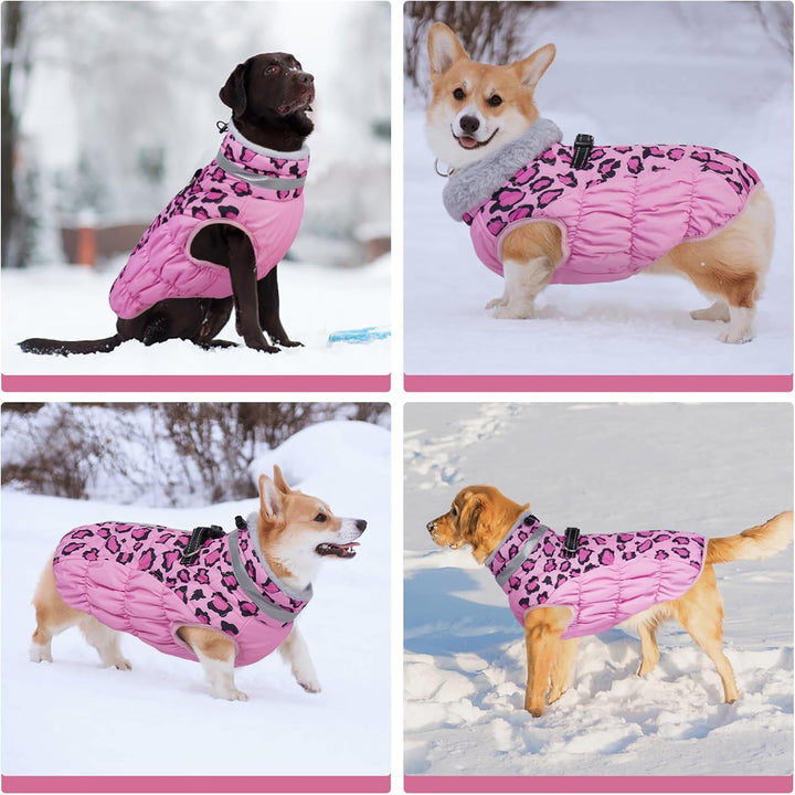 Kuoser Warme Hundejacke, Reflektierende Hundemantel, Winddichte Hundemantel für Kleine Hunde,Moden H