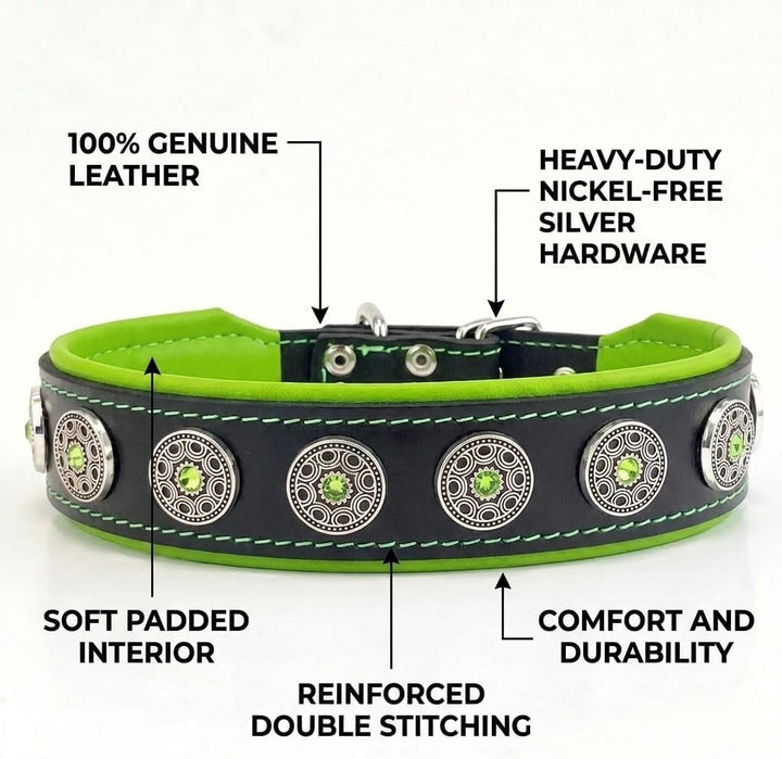 Bestia Bijou Hundehalsband mit Zierconchos. 100% Leder. Weich gepolstert. Handgefertigt in Europa! S