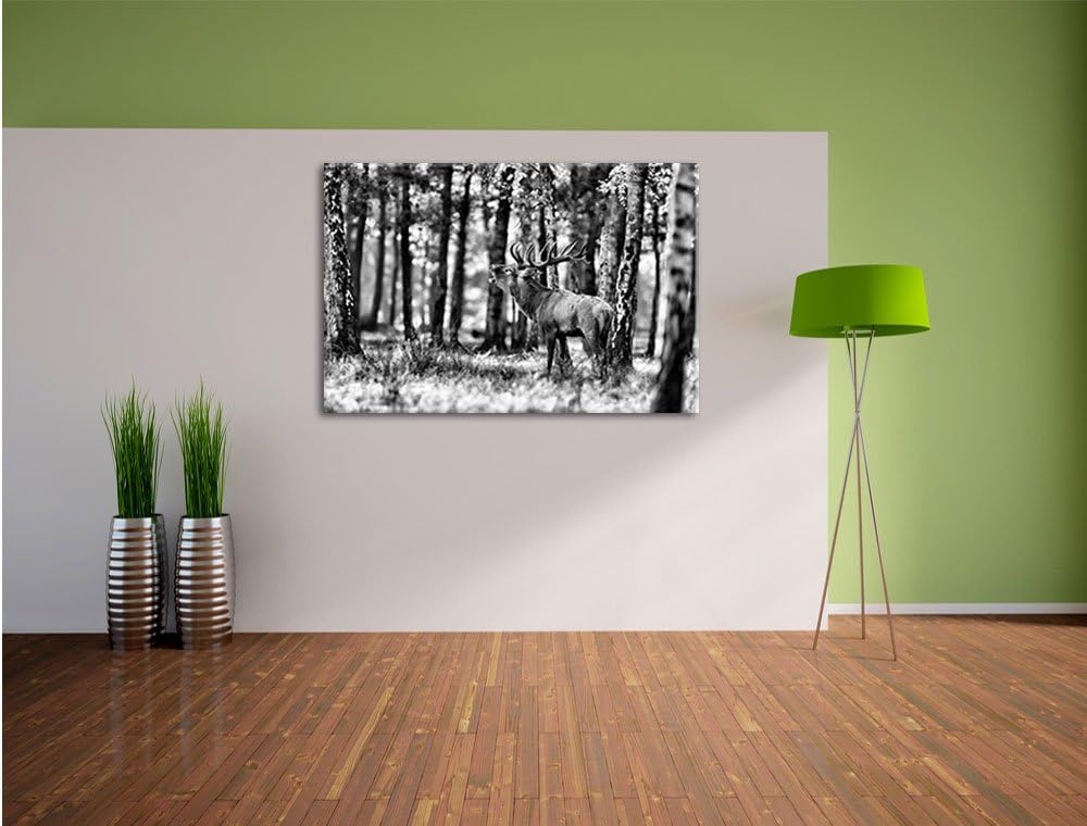 Monocrome, Hirsch im Wald, Format: 100x70 auf Leinwand, XXL riesige Bilder fertig gerahmt mit Keilra