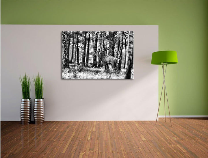 Monocrome, Hirsch im Wald, Format: 100x70 auf Leinwand, XXL riesige Bilder fertig gerahmt mit Keilra