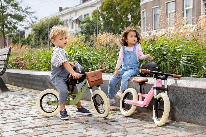 BERG Biky Retro Green Laufrad, 12'' Kinderfahrrad, Für Kinder von 2 bis 5 Jahre, Retro Grün Pink, Pi