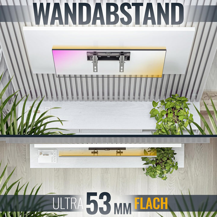 RICOO Monitor TV Wandhalterung Flach Ultra Slim Neigbar für 23-42 Zoll, Universal TV Halterung N2122