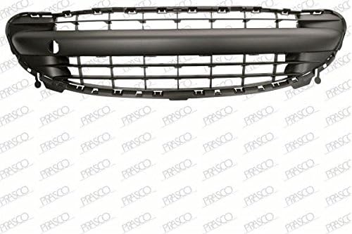 Stossstangengitter vorne mitte