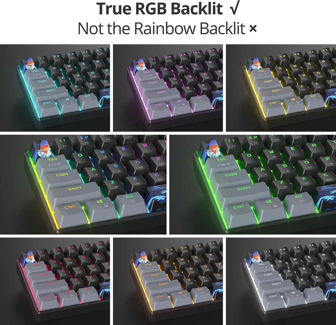SOLIDEE Tragbare 60% mechanische Gaming-Tastatur,61 Tasten kompakte RGB Hintergrundbeleuchtung,kabel