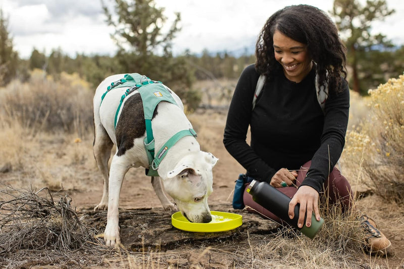 RUFFWEAR Camp Flyer Hundespielzeug, 2-in-1, flexibel und pannensicher, Wurfscheibe und Napf für Haus