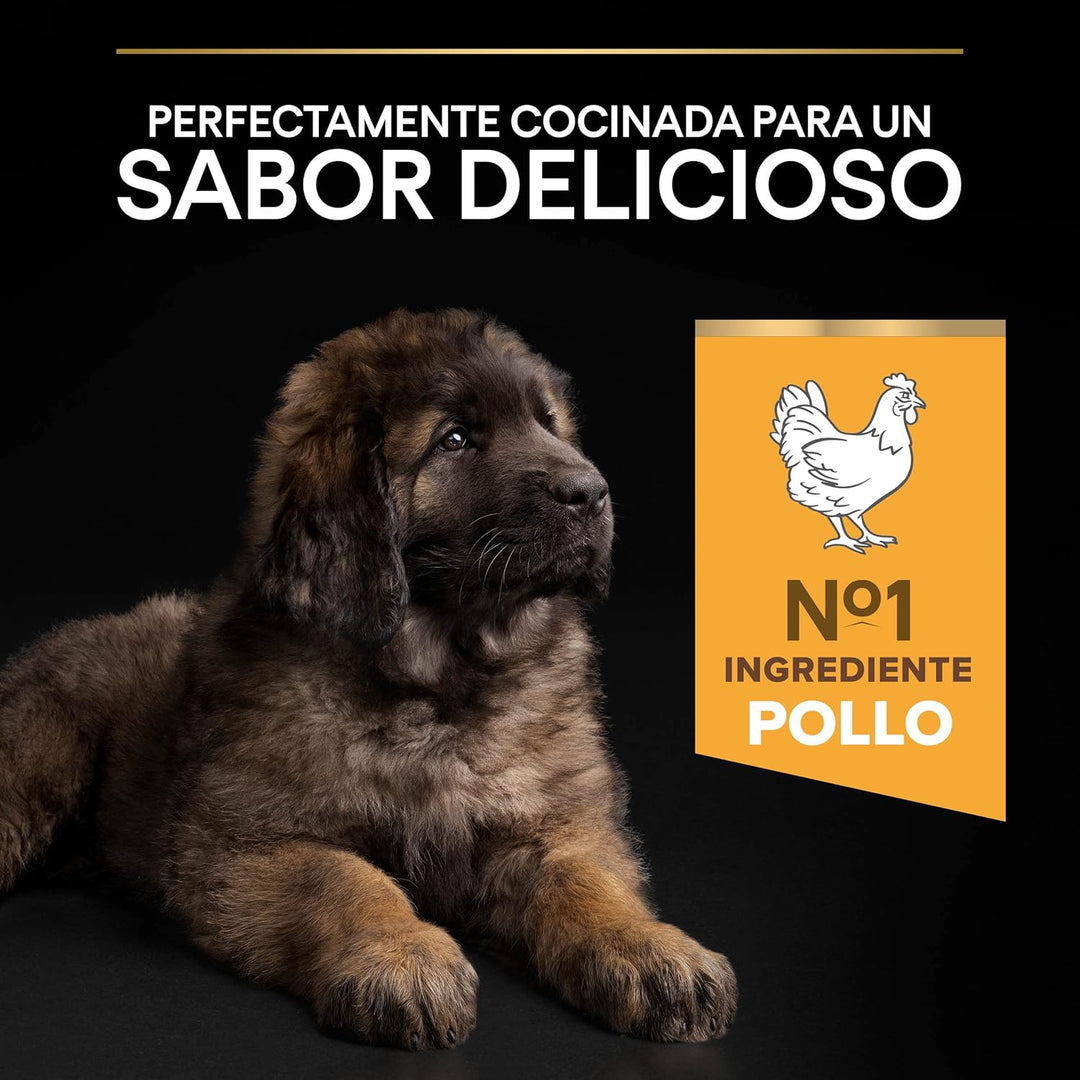 Pro Plan PURINA PRO PLAN Large Robust Puppy Healthy Start, Welpenfutter trocken, reich an Huhn, 1er