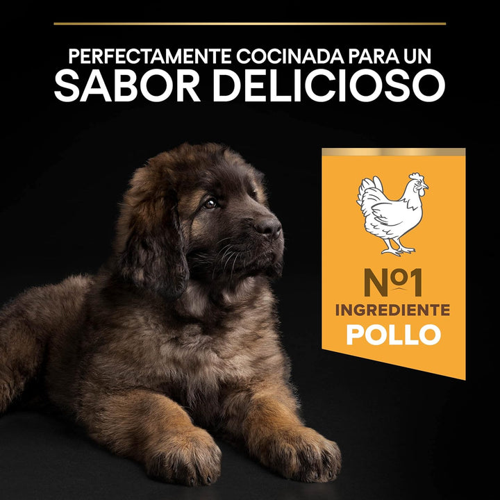 Pro Plan PURINA PRO PLAN Large Robust Puppy Healthy Start, Welpenfutter trocken, reich an Huhn, 1er